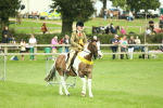 SBM_42262