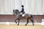 SBM_000377