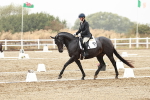 SBM_003988
