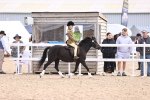 SBM_11663