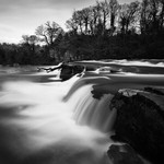Falls B/W