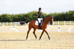 SBM_008088