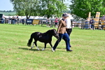 SBM_03476
