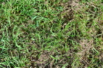 SBM_01021