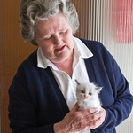 Very young kitten