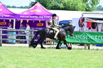 SBM_13996