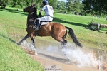 308-COOLEY_ANYTHING_YOU_LIKE-Harry_Meade portfolio