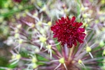 DSC09147