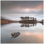 The Island, Derryclare Lough, Connemara (IMG0748)