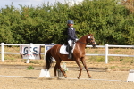 SBM_003666