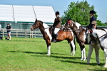 SBM_11711