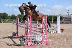 BPP_1016