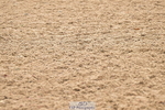 240925A-133512-00934