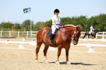 SBM_011816