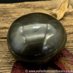 Polished Whitby Ammonite Nodule 041