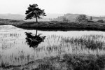 Kelly Hall Tarn 11