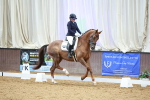 SBM_005182