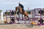 BPP_3704