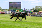 300526-Race 3-Mr Writer-0436