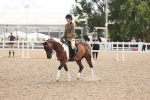 SBM_14656