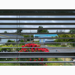 The State We're In portfolio