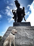 Dog-walking-Kensington