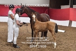BPP_1908