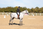 SBM_001529