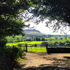 Slemish - Taken From Our Back Yard
