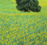 European Landscape portfolio