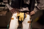 Cowboy 154