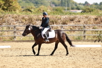 SBM_001713
