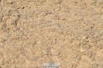 230409A-114522-00736