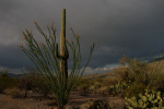 Storm threat