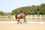 SBM_010491