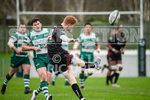 Guernsey Raiders v Rochford Hundred-7