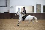SBM_000888