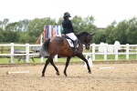 SBM_001594