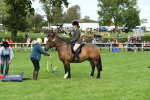 SBM_46861