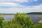 Lake Srebarna, Silistra Province, Bulgaria