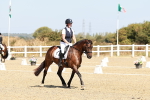 SBM_017345