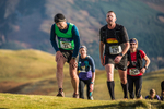 Sale Fell-437