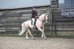 SBM_006466