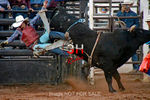 3HRodeo7-11-24_LJD_3HR2176_LJD