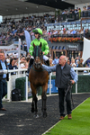 300826-Race 2-Jm Jungle-9713