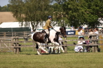 SBM_17901