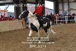 BPP_5371