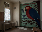 Overbrook Asylum (Cedar Grove, NJ) | Don't Be a Parrot