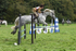 ESK_0447