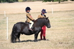 WJ6_9133